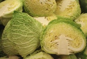 verza - savoy cabbage
